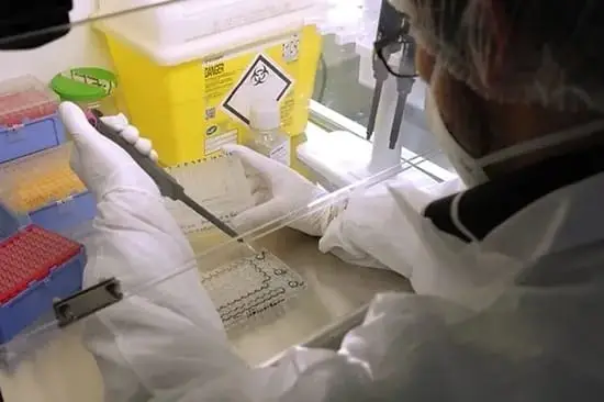 Détection d’Aspergillus : des résultats en 6h grâce à la méthode PCR