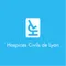 Hospices civils de Lyon