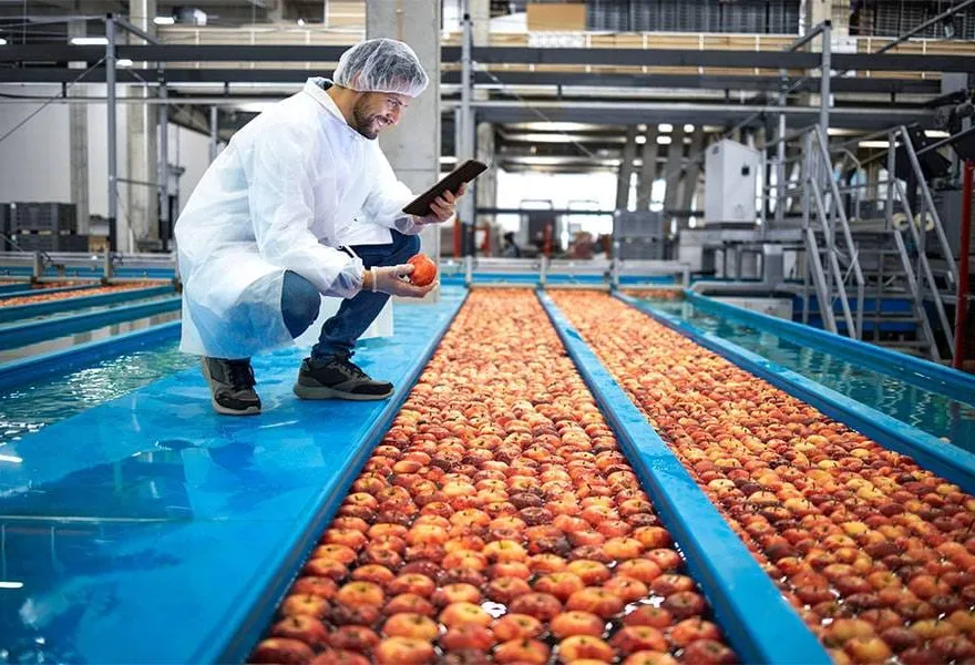 Contrôle qualité sur une ligne de production agroalimentaire