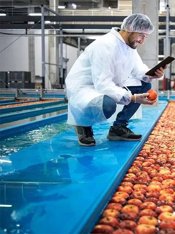 Contrôle qualité sur une ligne de production agroalimentaire